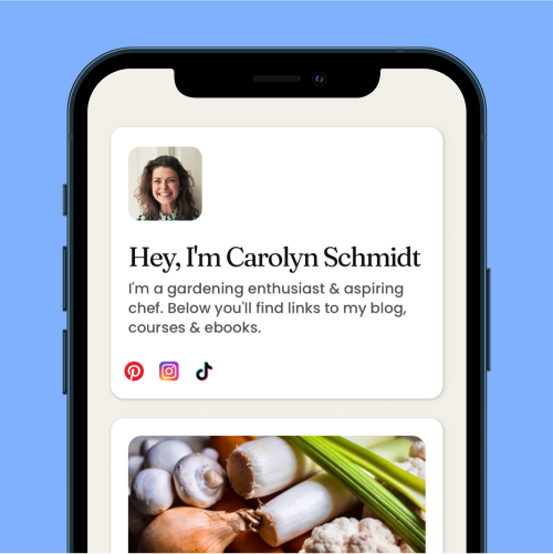 Links Webflow Template Layout #5 Alternate mocked up on an iPhone.