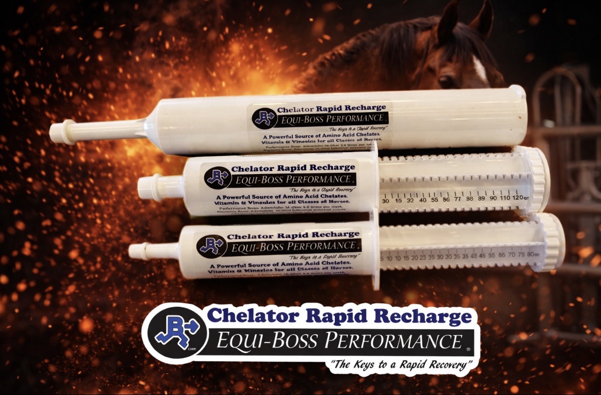 Chelator® Rapid Recharge Paste