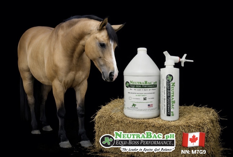 NeutraBac PH Canada ( NN.M7G9 )