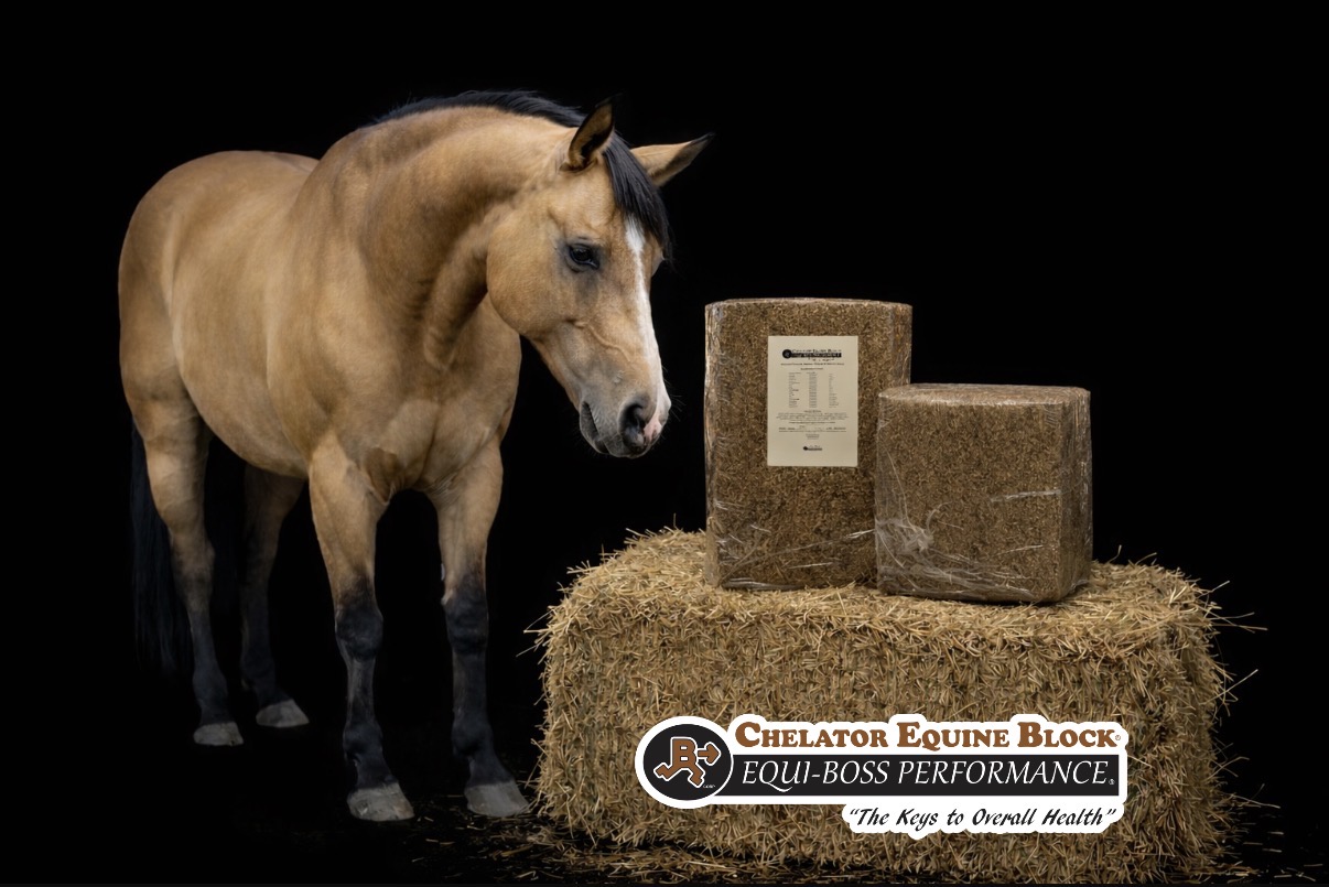Chelator® Equine Block