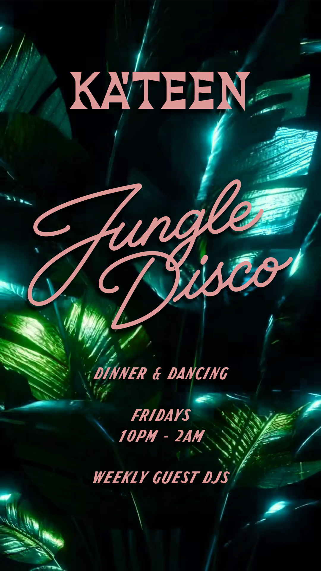 Jungle Disco