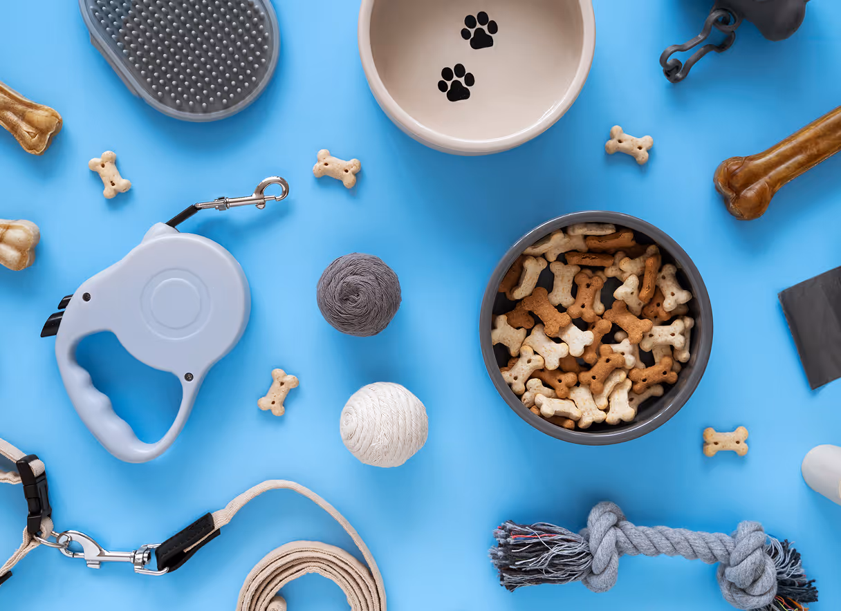 Flat lay of dog accessories on a blue background including bone-shaped treats, retractable leash, rope toy, food bowl, and grooming brush.