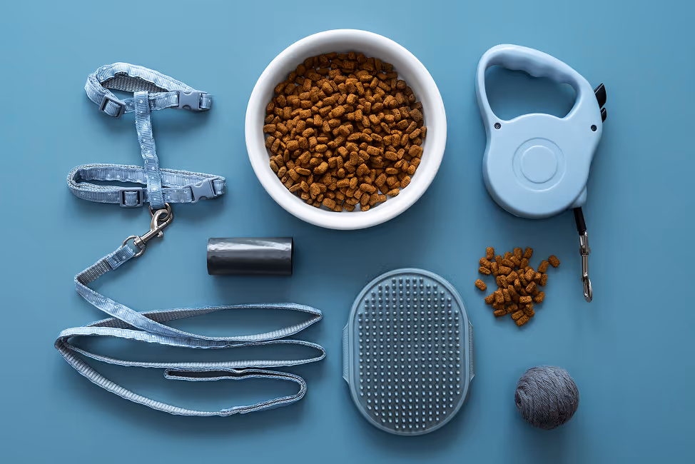 Flat lay of blue dog supplies on blue background including harness, leash, bag of waste bags, bowl of kibble, grooming brush, retractable leash, and ball of yarn.