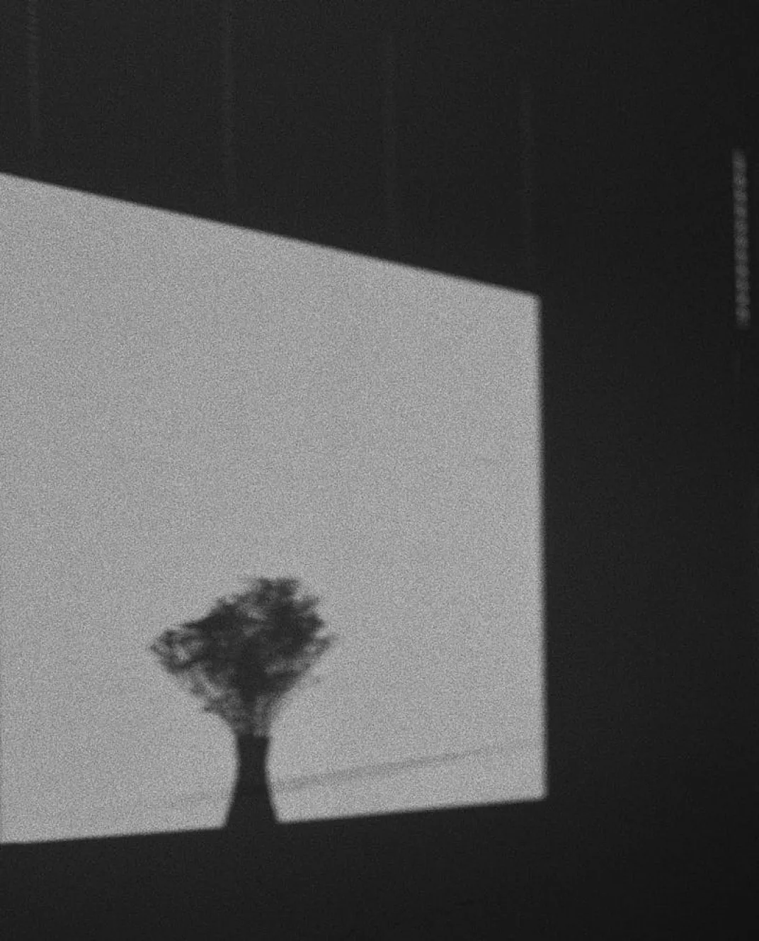 Shadow of a flower vase projected on a wall with a rectangular light source.