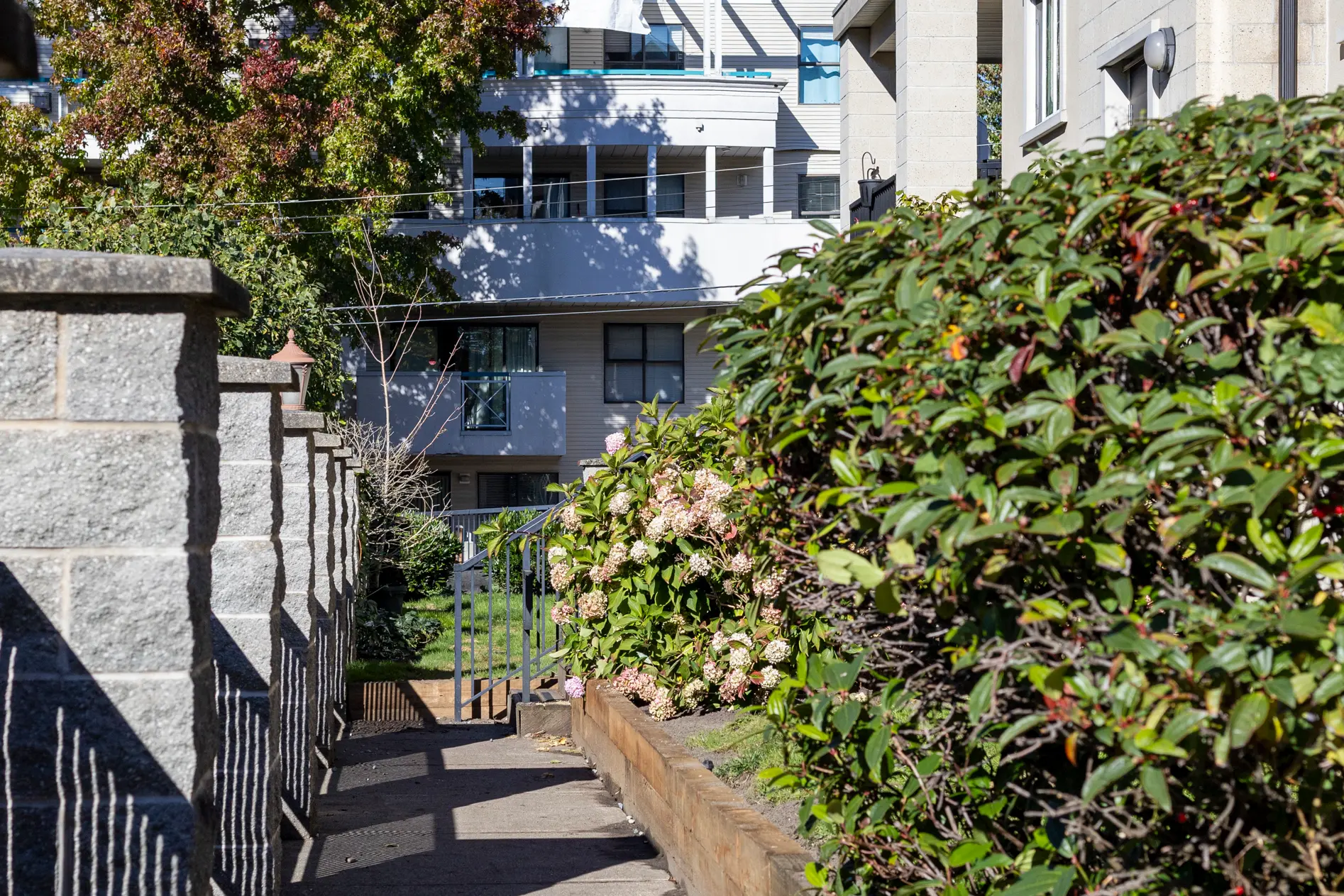 Strata landscape maintenance