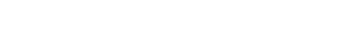 Ingram Library Services