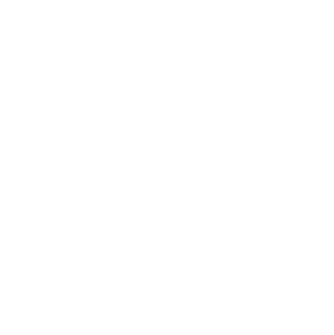 Town of Palm Beach Marina