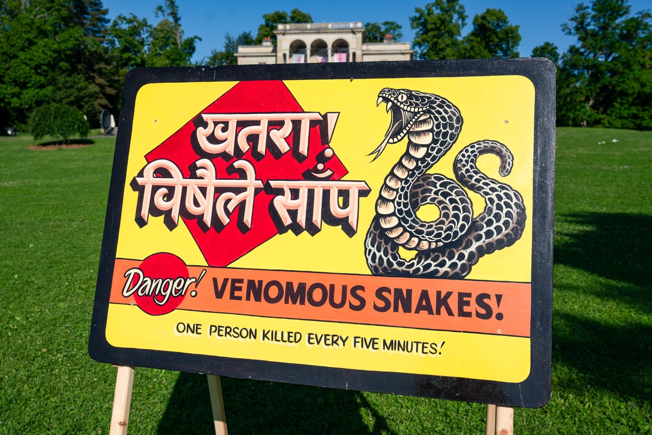 STRIKE OUT SNAKEBITE