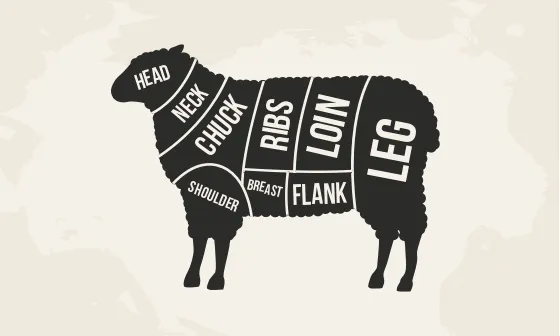lamb butchering chart