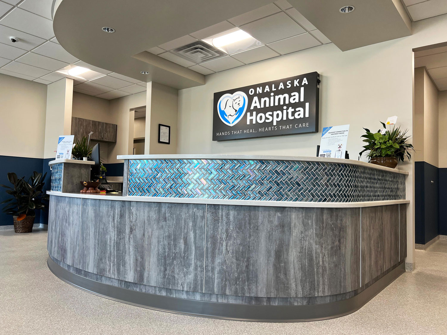 Onalaska Animal Hospital Launches Exciting Upgrades