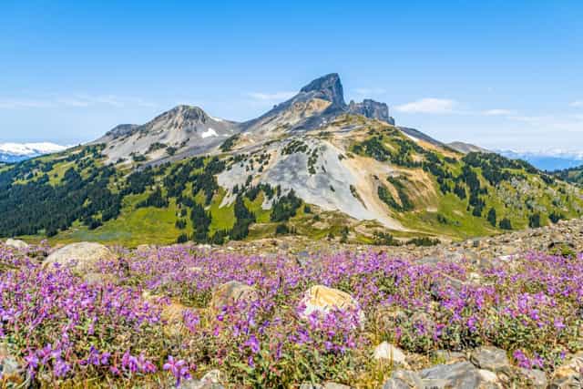 Black tusk mountain on a clear day