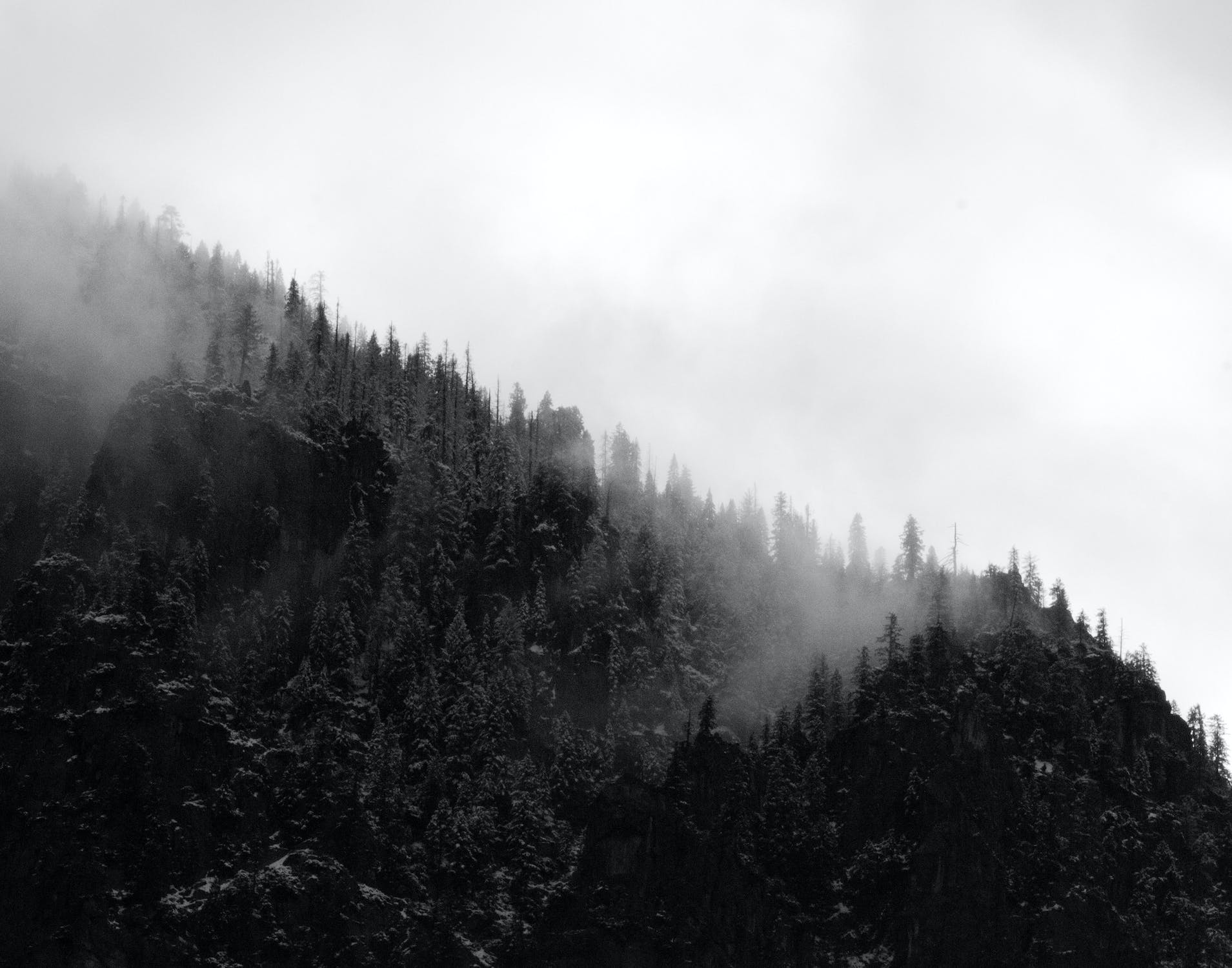 mountain fog-