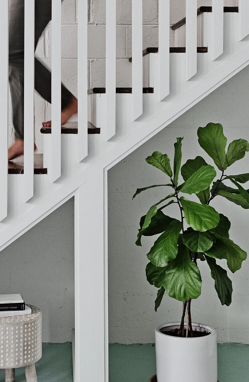 interior, photography, amelia lawrence