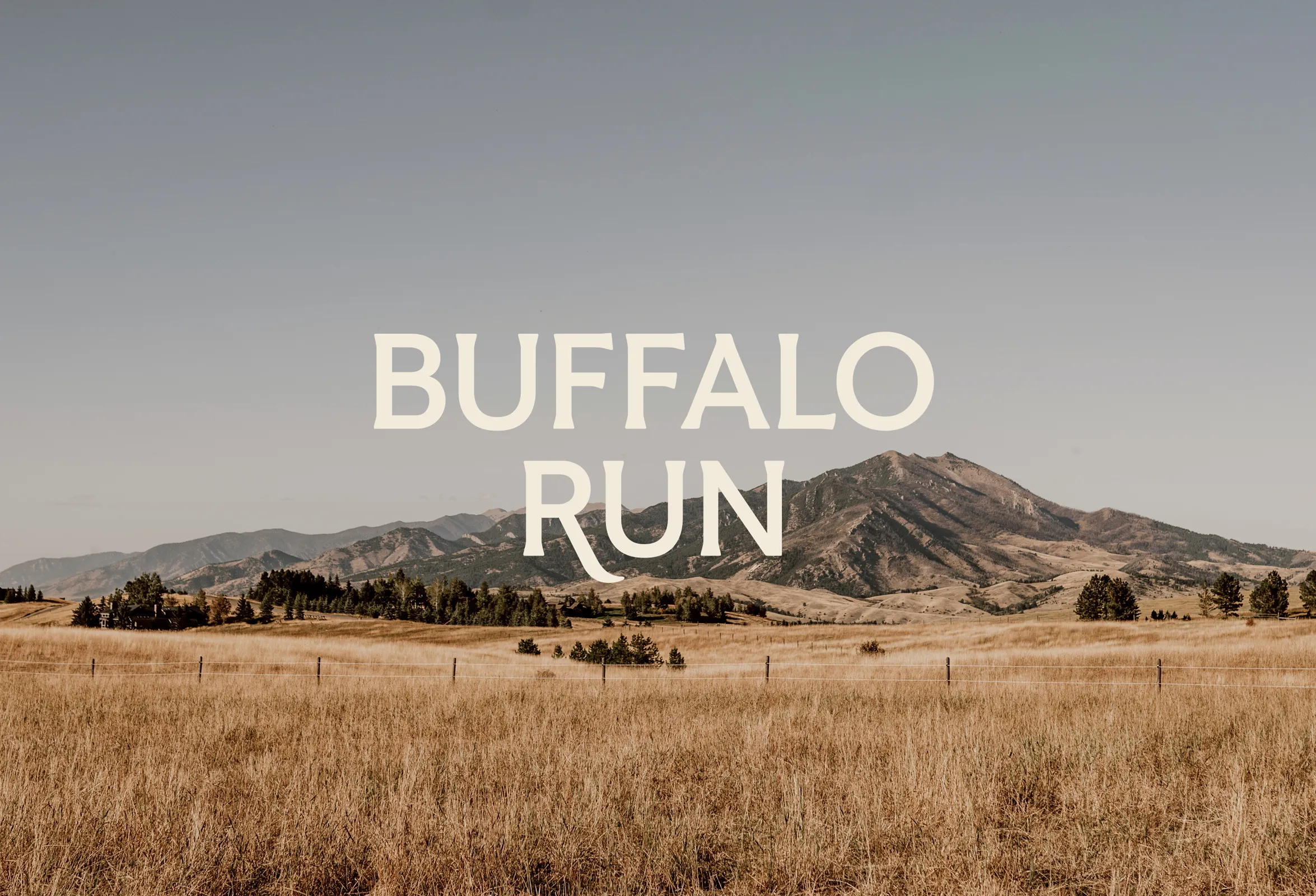Buffalo Run