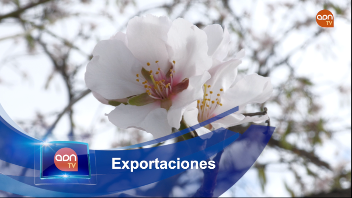 Tomates en invernadero