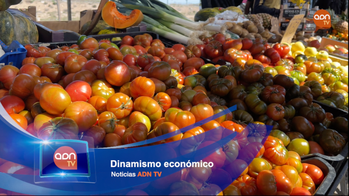 Tomates en invernadero