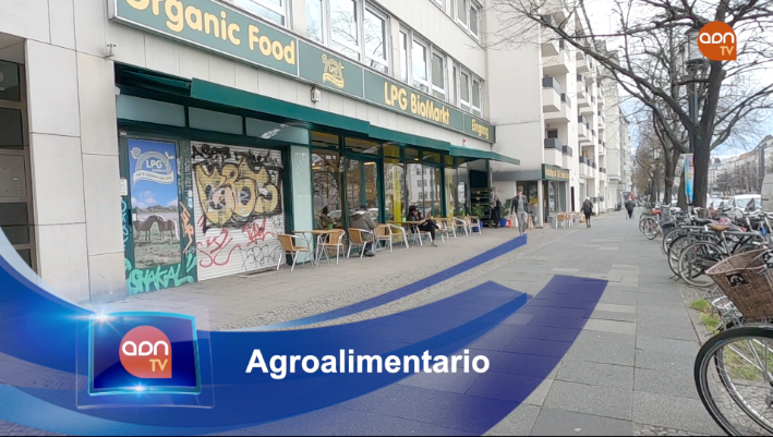 Tomates en invernadero