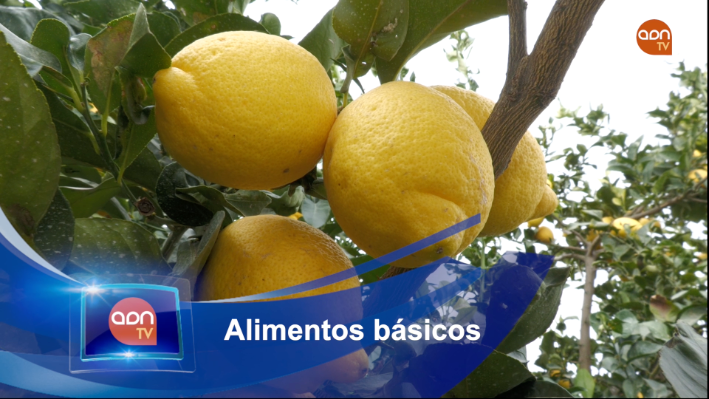Tomates en invernadero