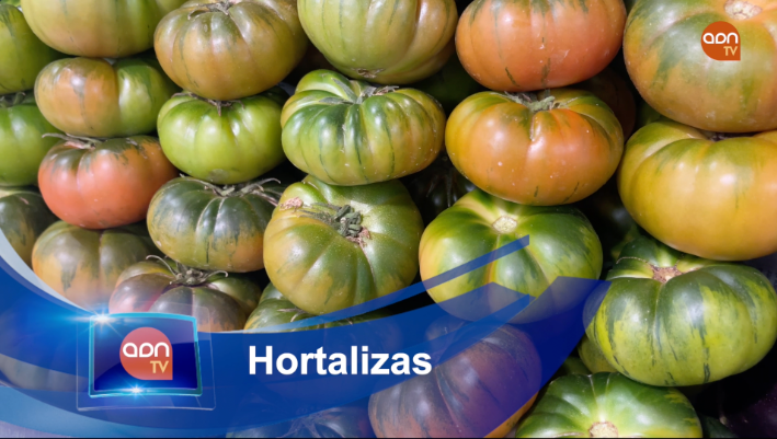 Tomates en invernadero
