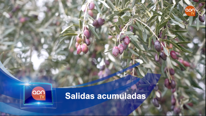 Tomates en invernadero