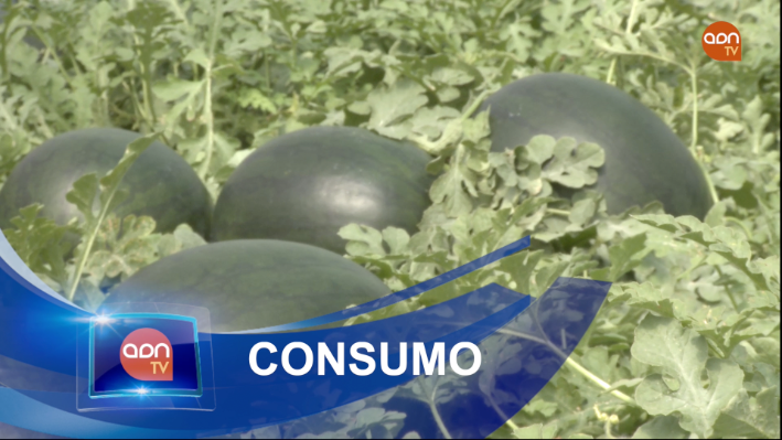 Tomates en invernadero