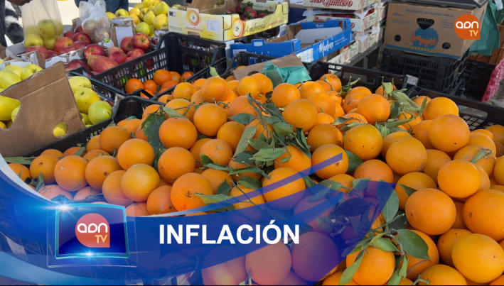 Tomates en invernadero
