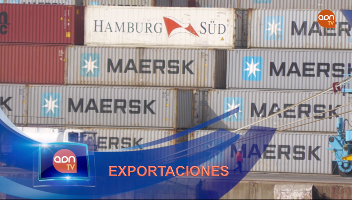 Tomates en invernadero