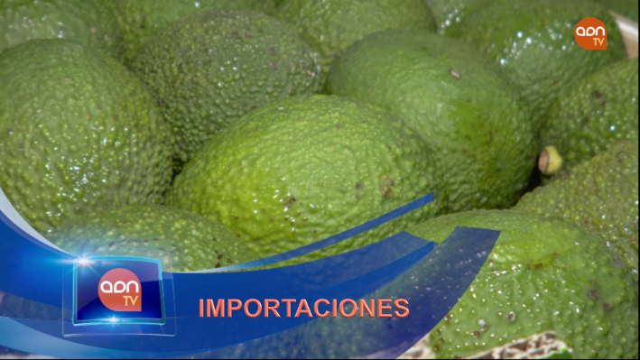 Tomates en invernadero