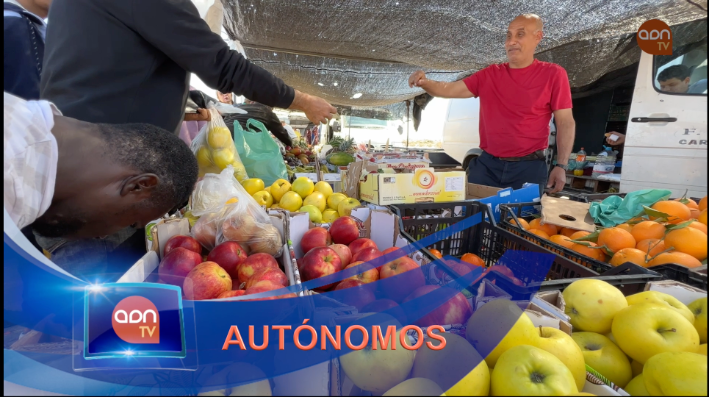 Tomates en invernadero