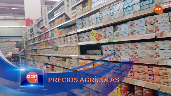 Tomates en invernadero