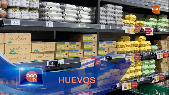 Tomates en invernadero