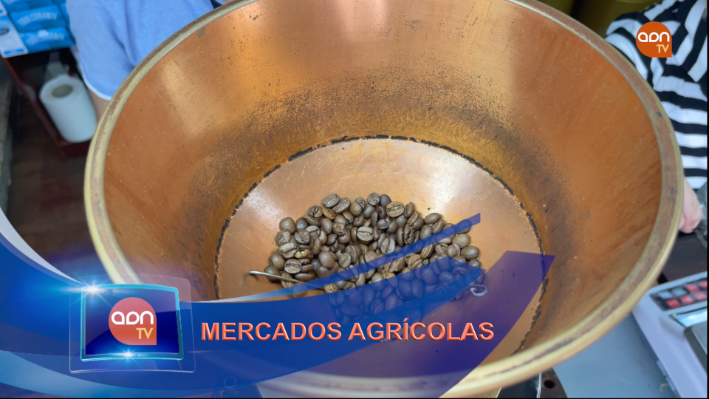 Tomates en invernadero