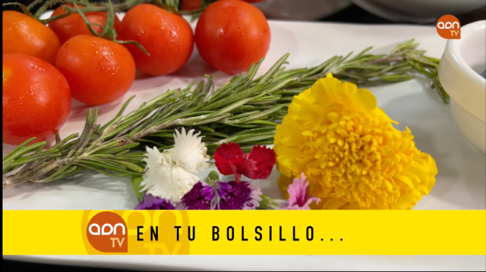 Tomates en invernadero