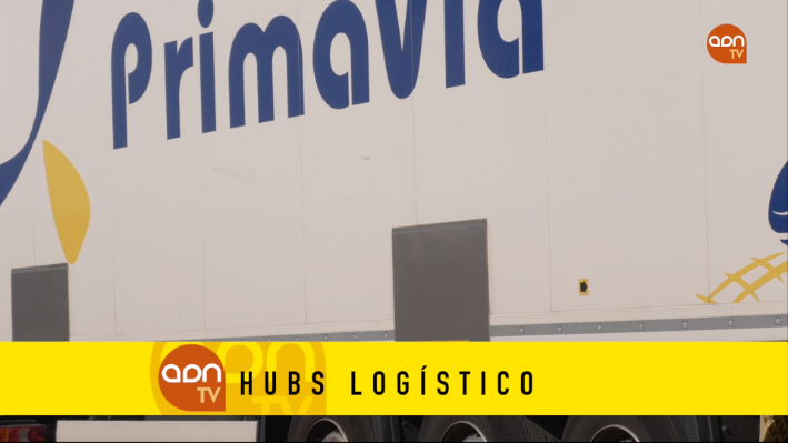 Tomates en invernadero