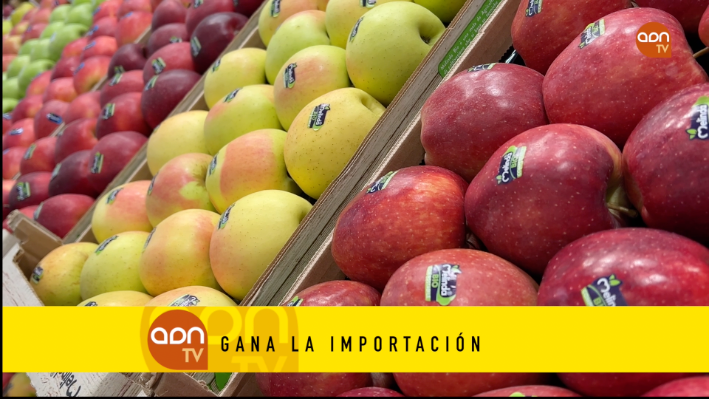 Tomates en invernadero