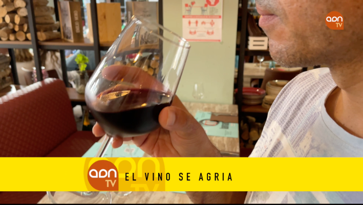 Tomates en invernadero