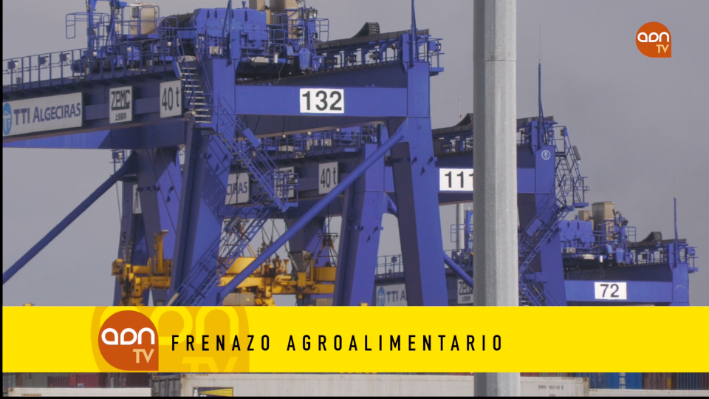 Tomates en invernadero