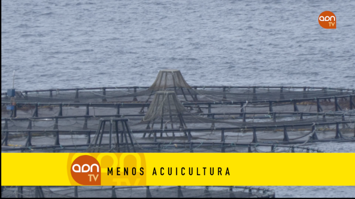 Tomates en invernadero