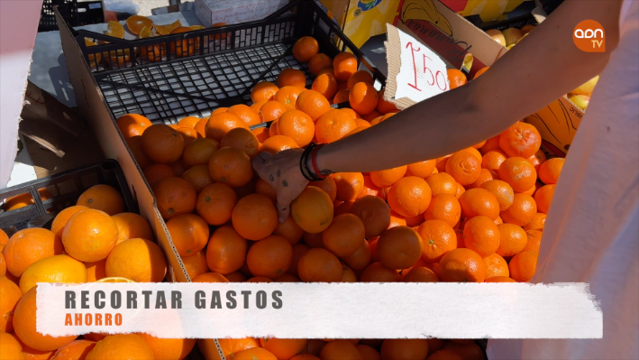Tomates en invernadero