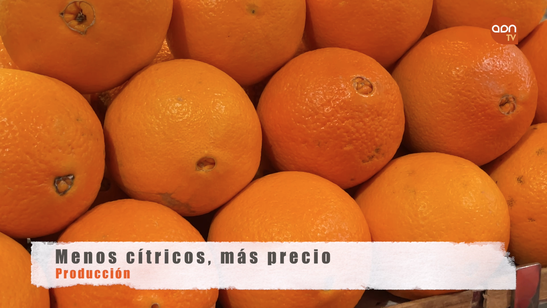 Tomates en invernadero
