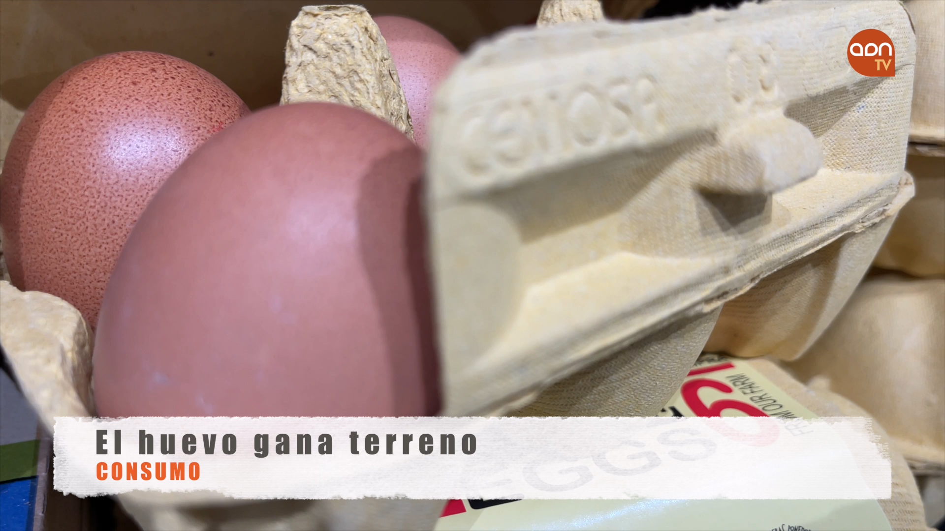Tomates en invernadero