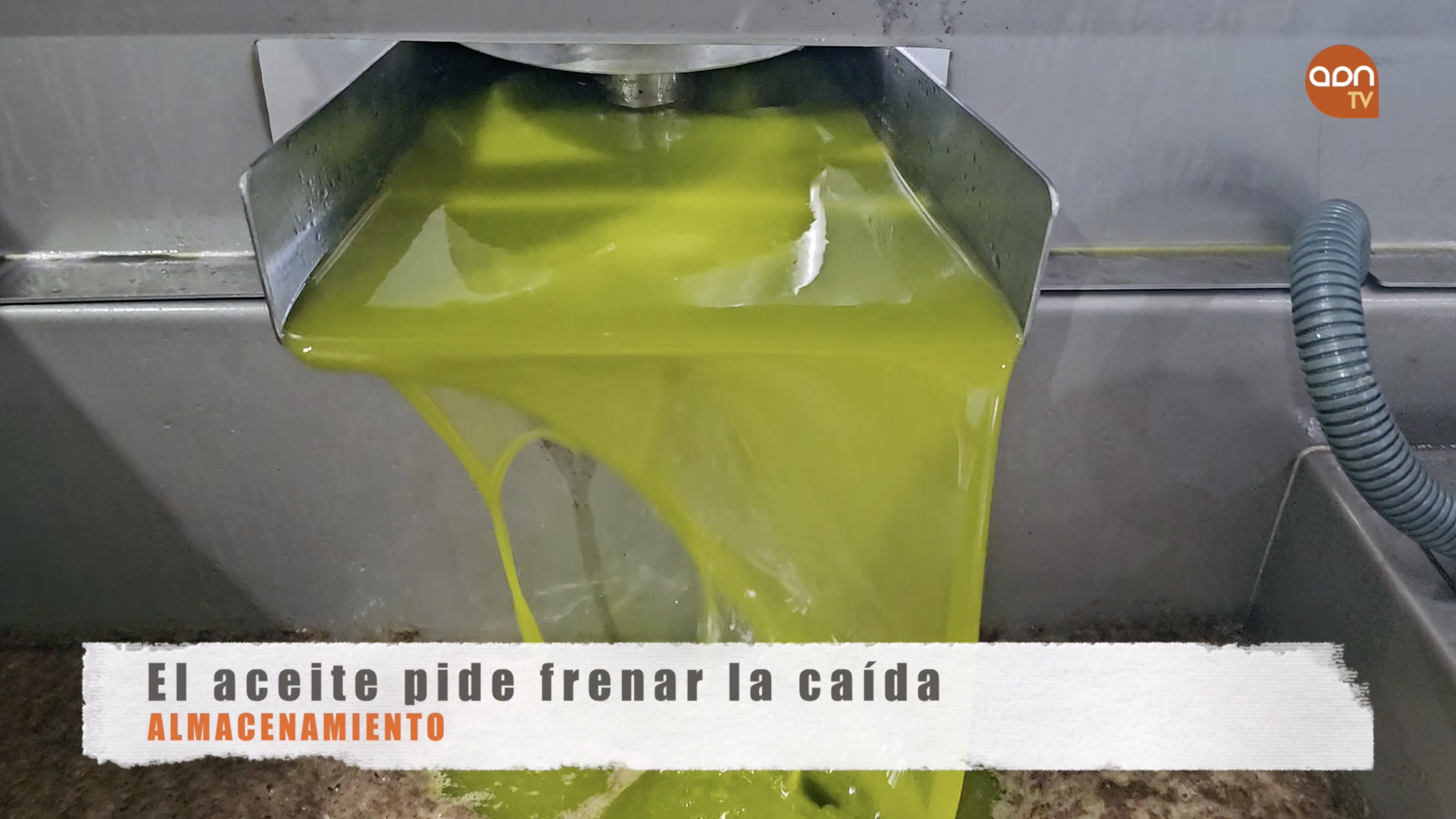 Tomates en invernadero