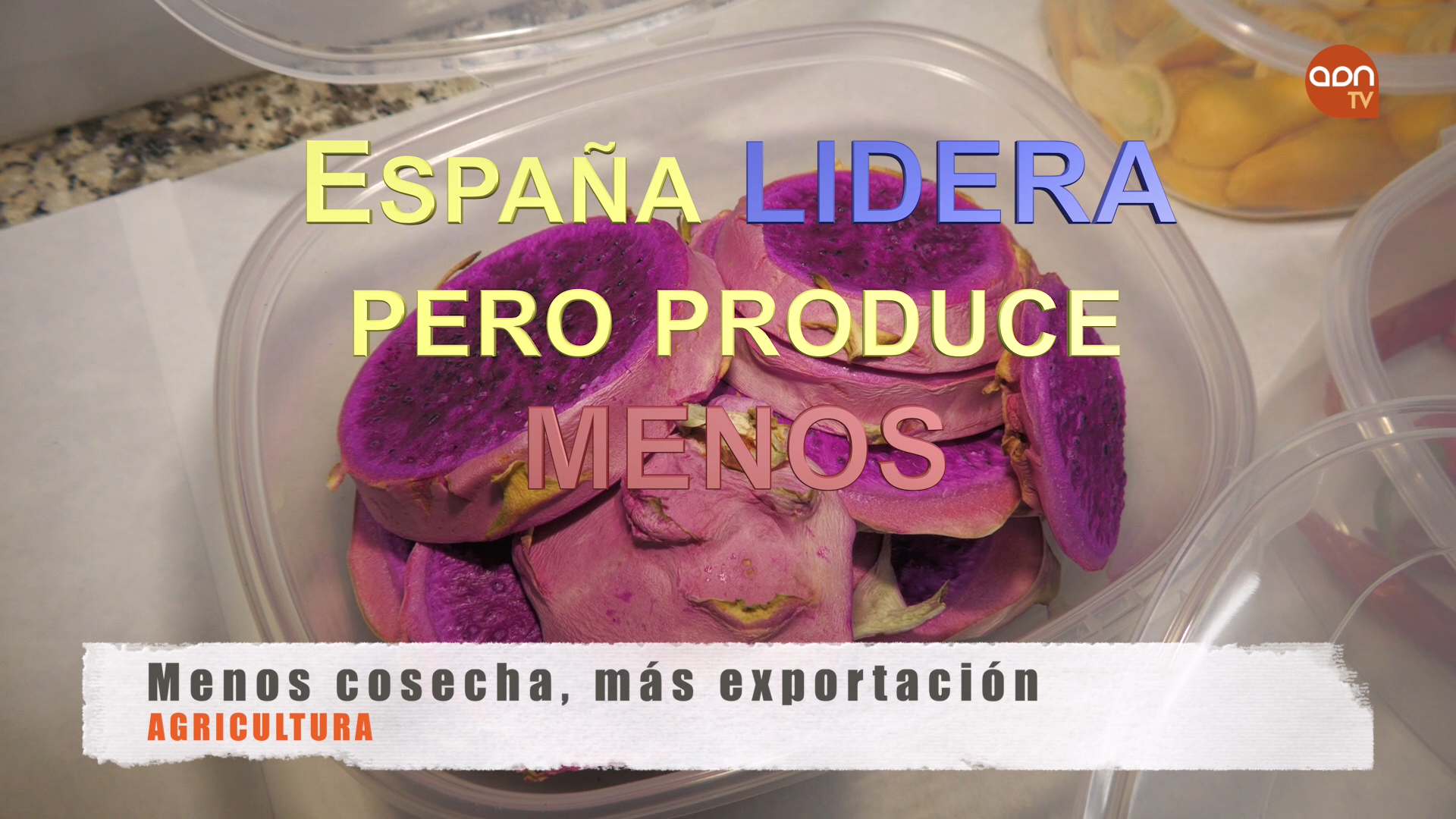 Tomates en invernadero