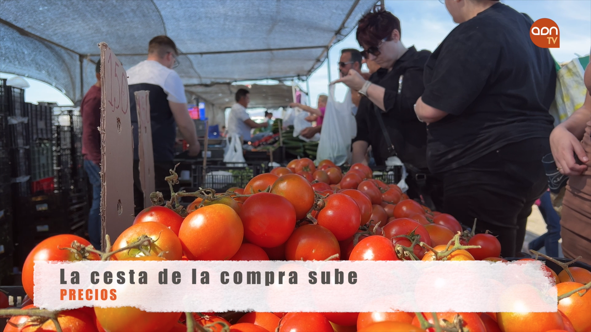 Tomates en invernadero
