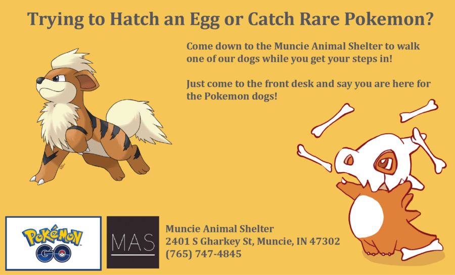 Graphic showing rare Pokémon eggs for a marketing promotion.