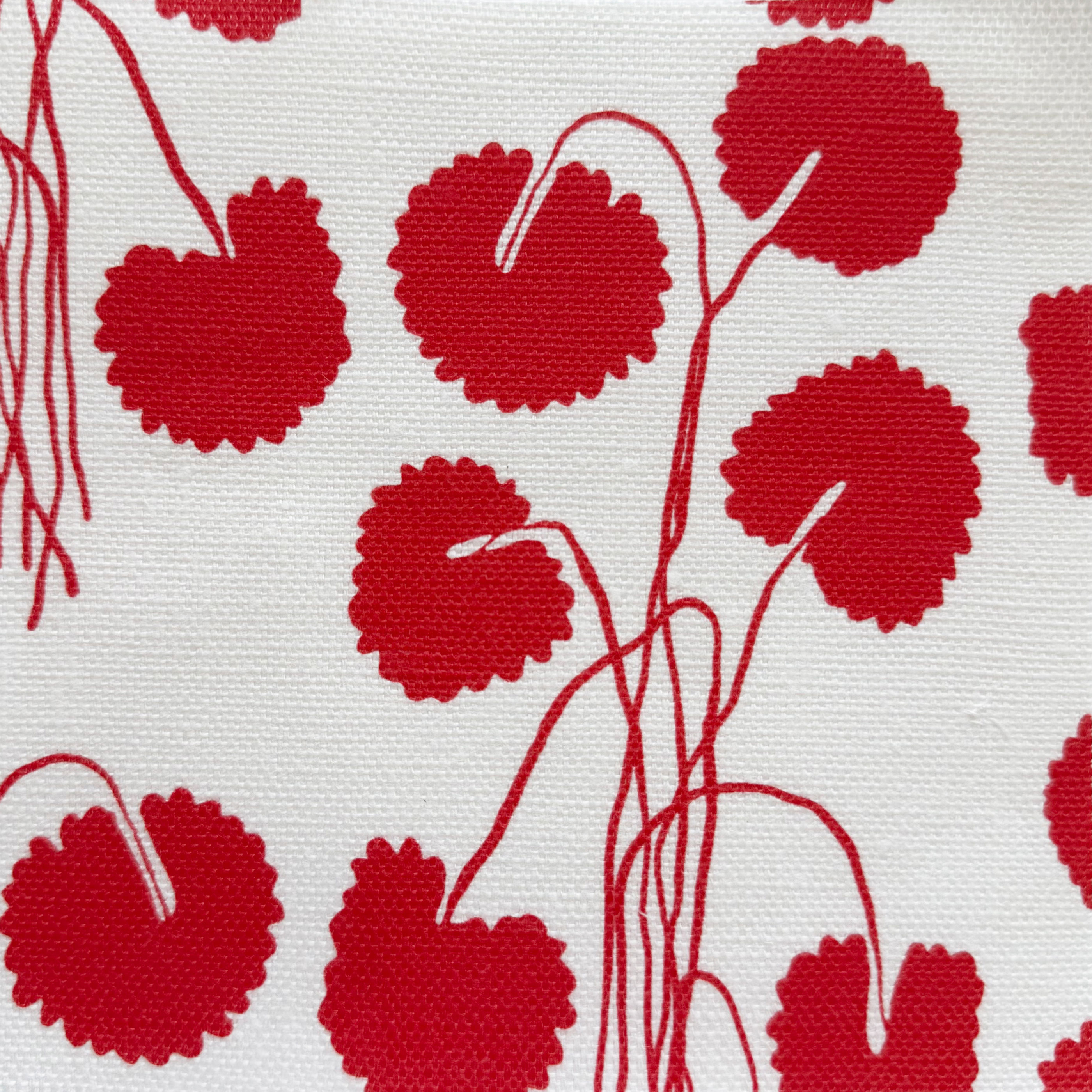 Fuchsia Geranium Stripe