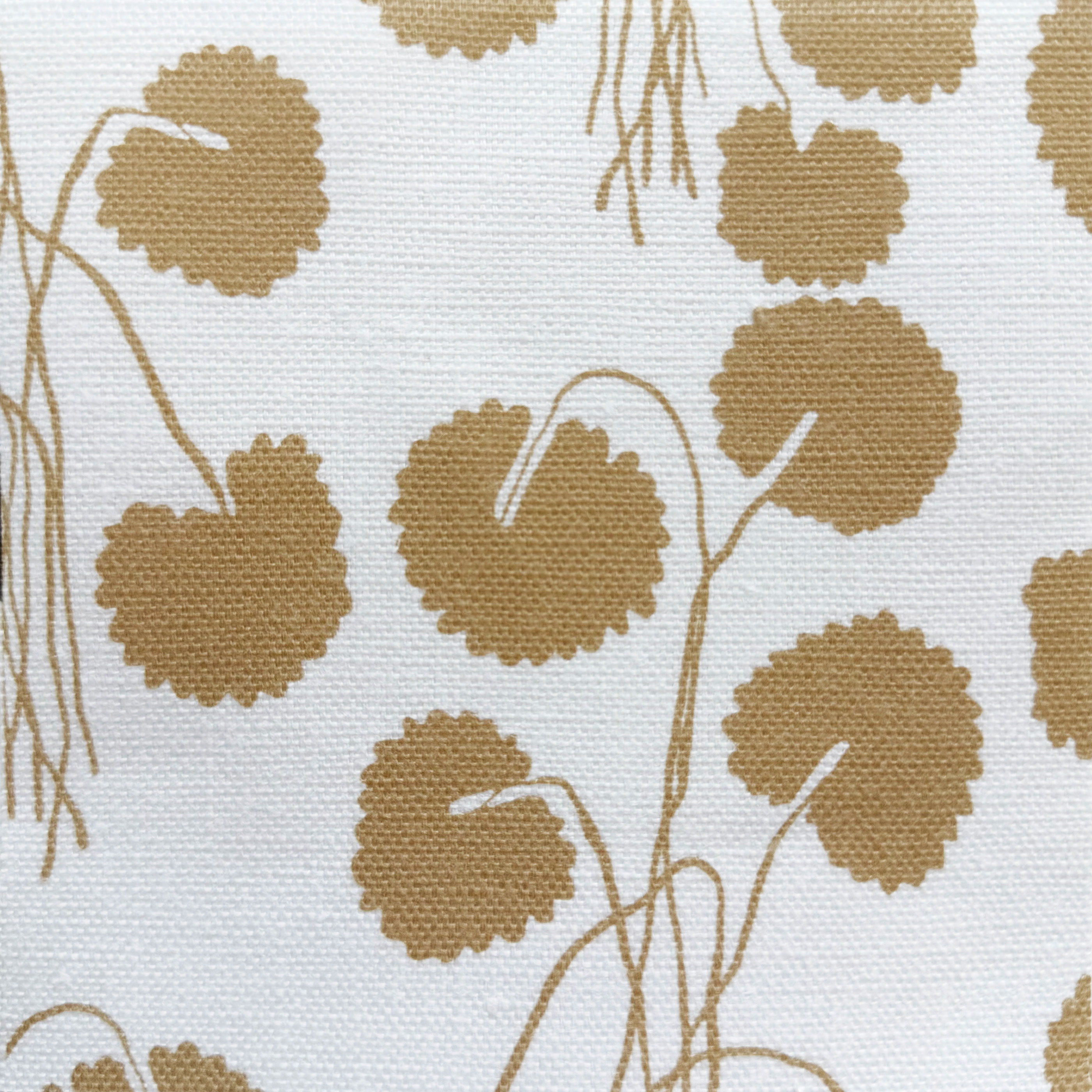 Goldenrod Geranium Stripe