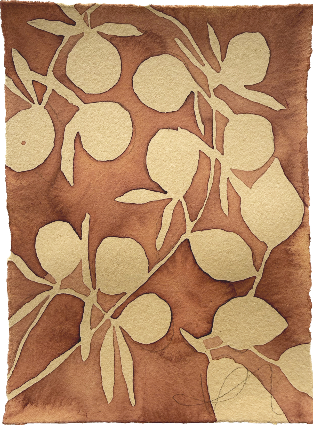 Tiny Tomato Vine Two