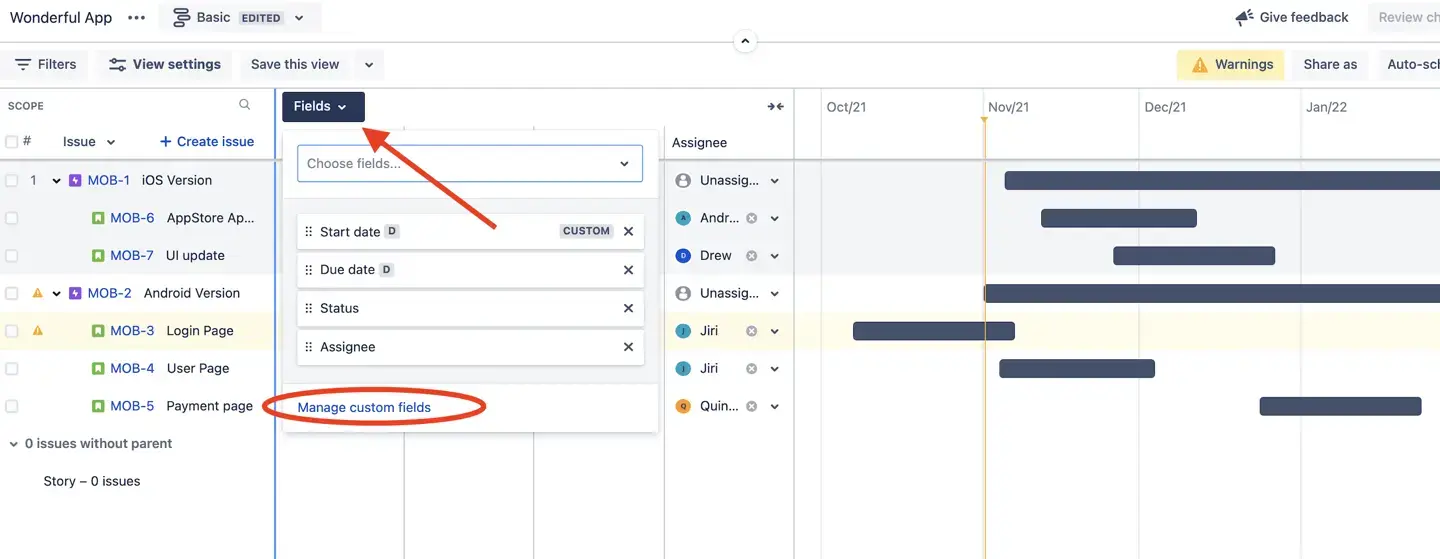 Manage Custom Fields