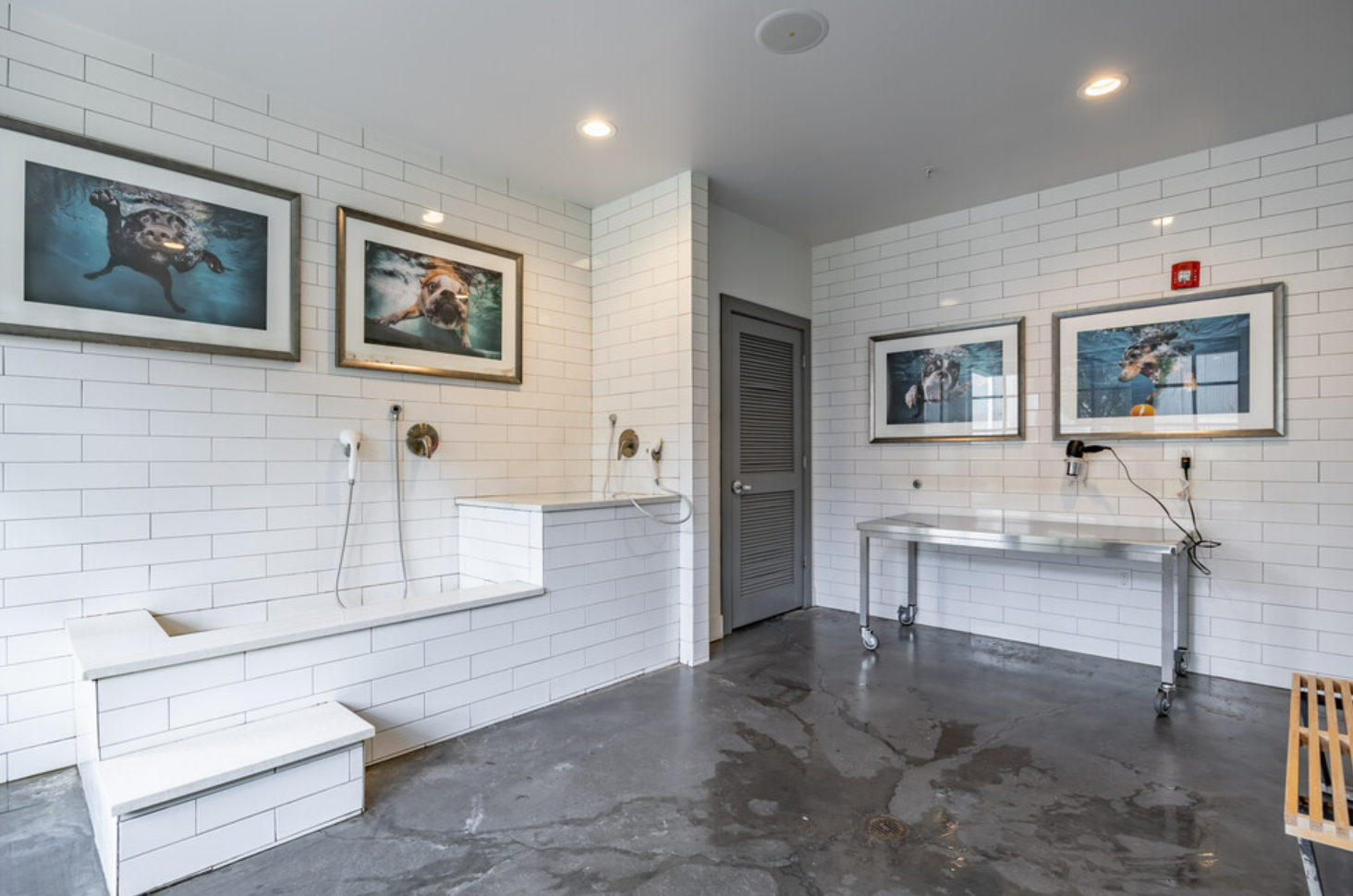The on-site pet spa at Ayla on Krog